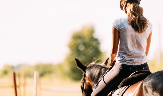 a person riding a horse